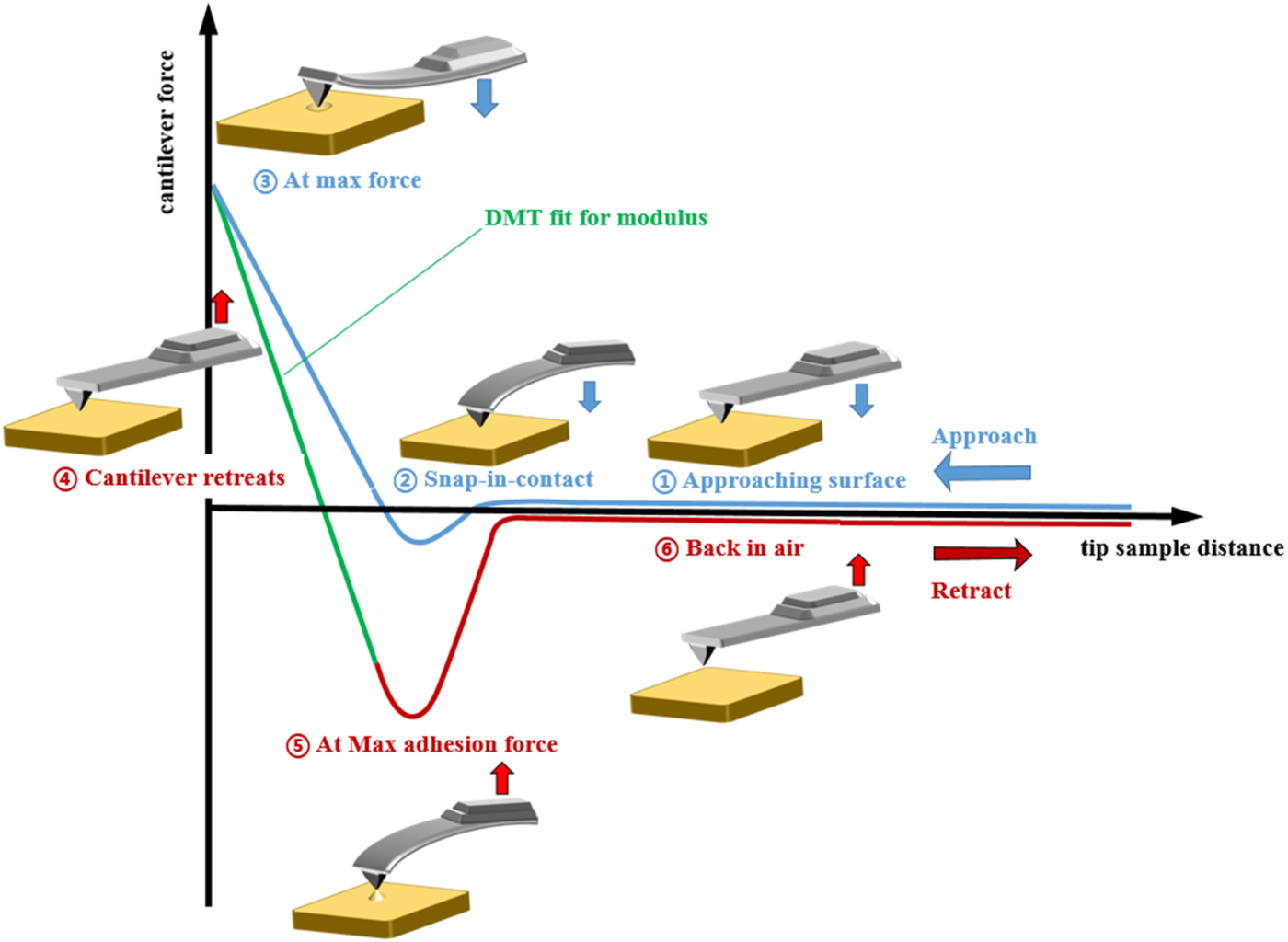 Determining Young’s modulus of granite using accurate grain-based modeling with microscale rock mechanical experiments preview